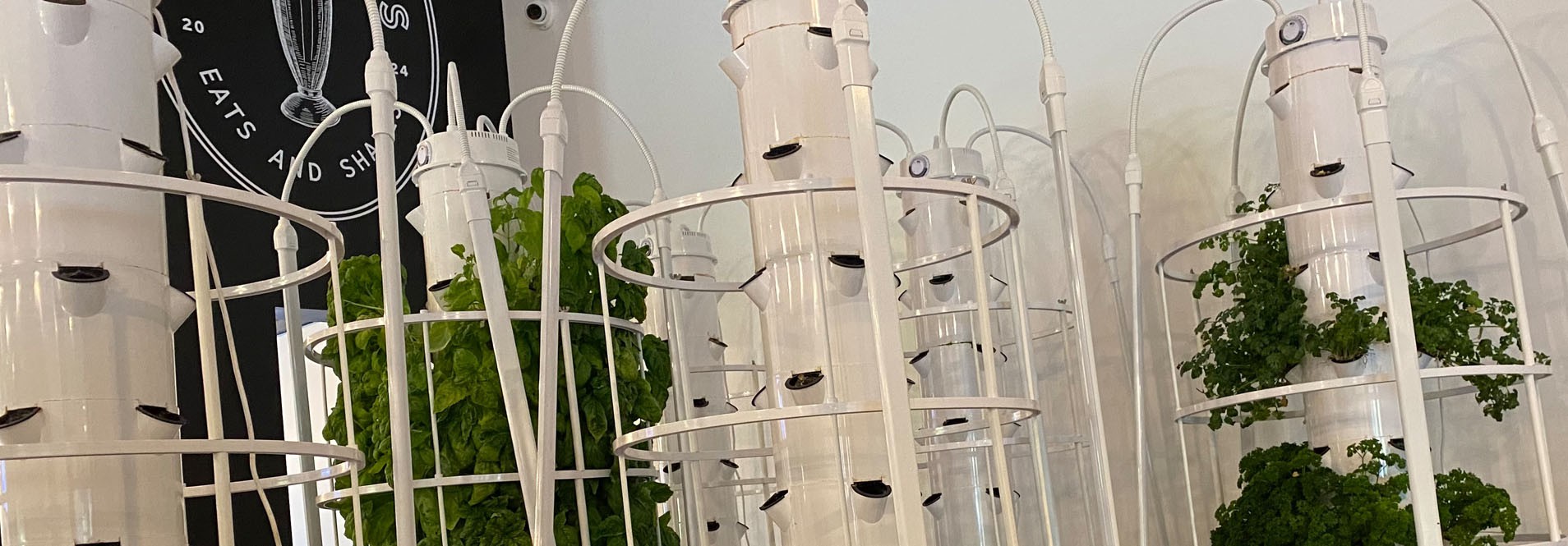 Hydroponic Towers 